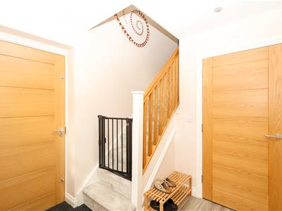 Picture 14